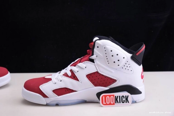 Rep 6 'CARMINE' JORDAN RETRO CT8529-106 2021 AIR 0825